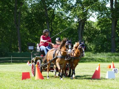 Foto des Albums: Fahrturnier Hilders 2019