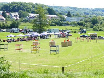 Foto des Albums: Fahrturnier Hilders 2019