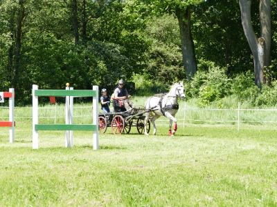 Foto des Albums: Fahrturnier Hilders 2019
