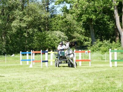 Foto des Albums: Fahrturnier Hilders 2019