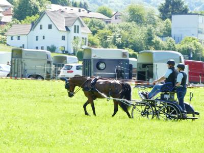 Foto des Albums: Fahrturnier Hilders 2019