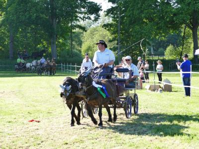 Foto des Albums: Fahrturnier Hilders 2019