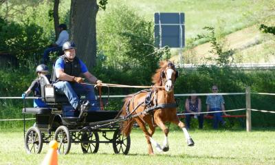 Foto des Albums: Fahrturnier Hilders 2019