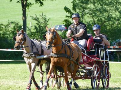 Foto des Albums: Fahrturnier Hilders 2019