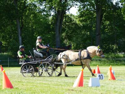 Foto des Albums: Fahrturnier Hilders 2019
