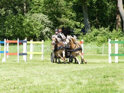 Foto des Albums: Fahrturnier Hilders 2019