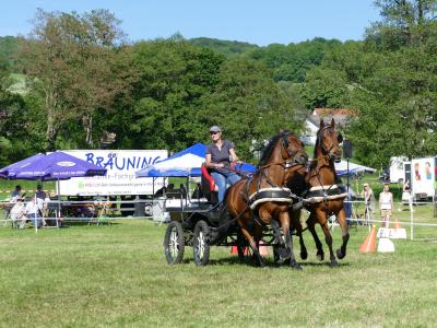Foto des Albums: Fahrturnier Hilders 2019