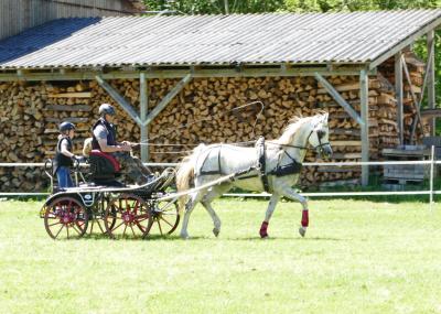Foto des Albums: Fahrturnier Hilders 2019