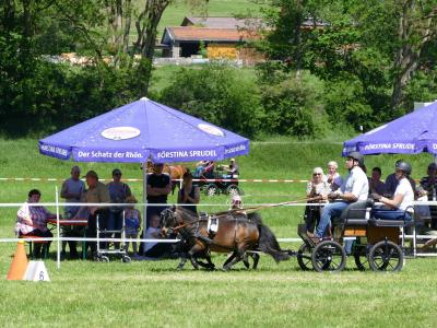 Foto des Albums: Fahrturnier Hilders 2019