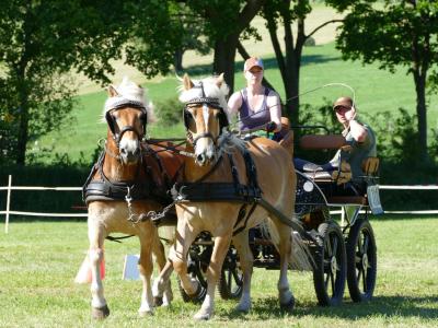 Foto des Albums: Fahrturnier Hilders 2019
