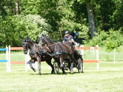 Foto des Albums: Fahrturnier Hilders 2019