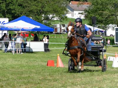 Foto des Albums: Fahrturnier Hilders 2019
