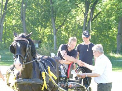 Foto des Albums: Fahrturnier Hilders 2019