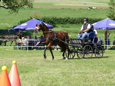 Foto des Albums: Fahrturnier Hilders 2019