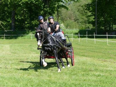 Foto des Albums: Fahrturnier Hilders 2019