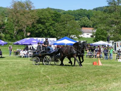 Foto des Albums: Fahrturnier Hilders 2019