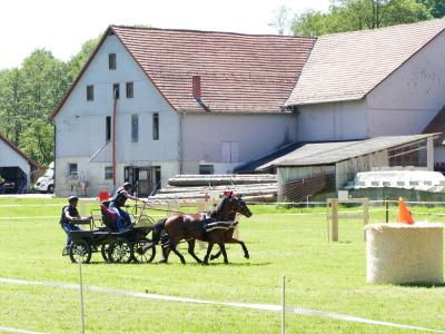 Foto des Albums: Fahrturnier Hilders 2019