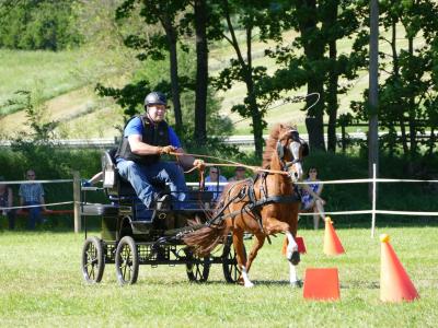 Foto des Albums: Fahrturnier Hilders 2019