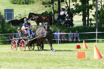Foto des Albums: Fahrturnier Hilders 2019