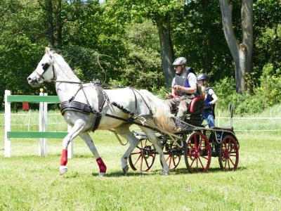 Foto des Albums: Fahrturnier Hilders 2019