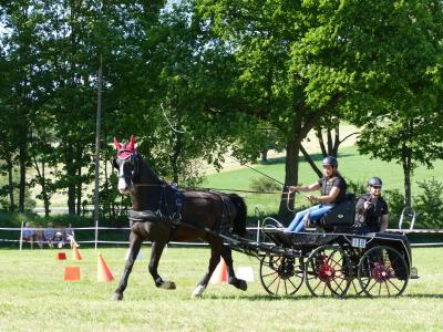 Foto des Albums: Fahrturnier Hilders 2019