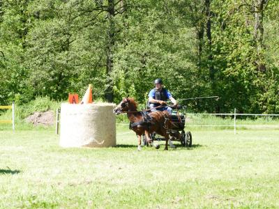 Foto des Albums: Fahrturnier Hilders 2019