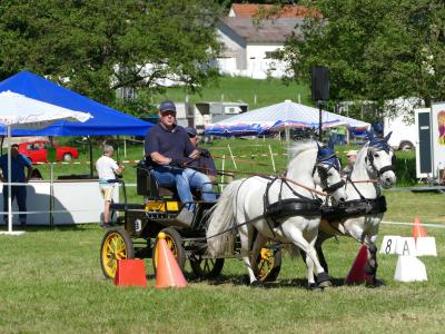 Foto des Albums: Fahrturnier Hilders 2019