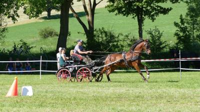 Foto des Albums: Fahrturnier Hilders 2019