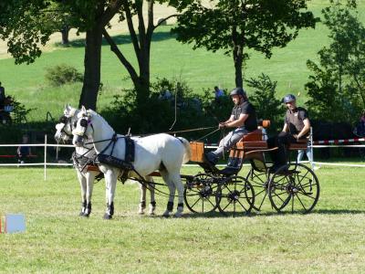 Foto des Albums: Fahrturnier Hilders 2019