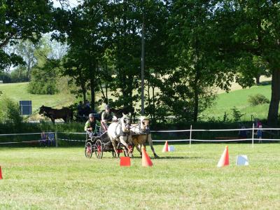 Foto des Albums: Fahrturnier Hilders 2019