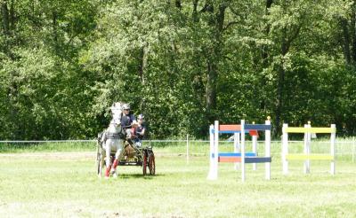 Foto des Albums: Fahrturnier Hilders 2019