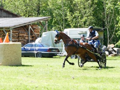 Foto des Albums: Fahrturnier Hilders 2019