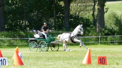 Foto des Albums: Fahrturnier Hilders 2019