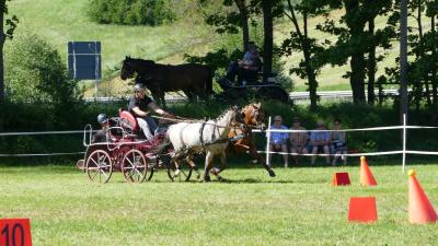 Foto des Albums: Fahrturnier Hilders 2019