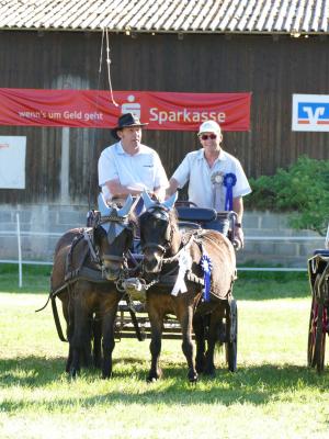 Foto des Albums: Fahrturnier Hilders 2019