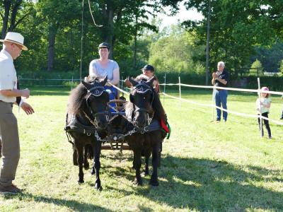 Foto des Albums: Fahrturnier Hilders 2019