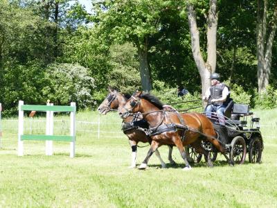 Foto des Albums: Fahrturnier Hilders 2019