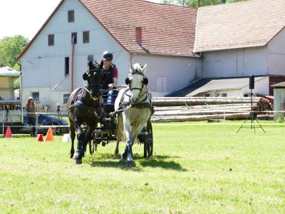 Foto des Albums: Fahrturnier Hilders 2019