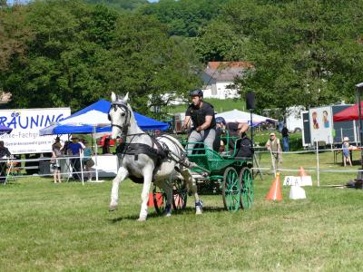 Foto des Albums: Fahrturnier Hilders 2019