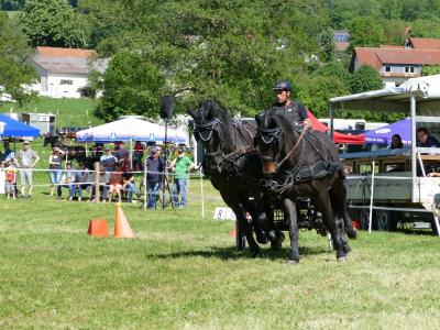 Foto des Albums: Fahrturnier Hilders 2019
