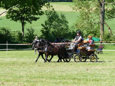 Foto des Albums: Fahrturnier Hilders 2019