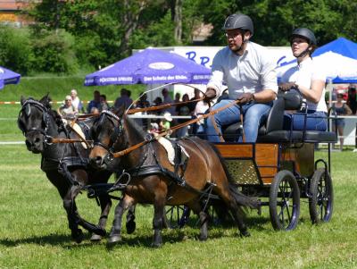 Foto des Albums: Fahrturnier Hilders 2019