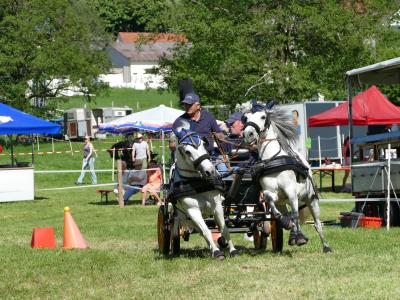 Foto des Albums: Fahrturnier Hilders 2019