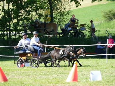 Foto des Albums: Fahrturnier Hilders 2019