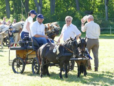 Foto des Albums: Fahrturnier Hilders 2019
