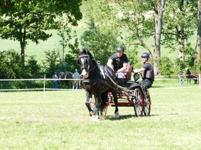 Foto des Albums: Fahrturnier Hilders 2019