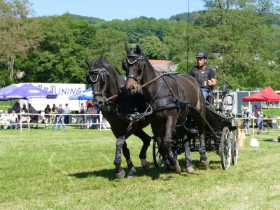 Foto des Albums: Fahrturnier Hilders 2019