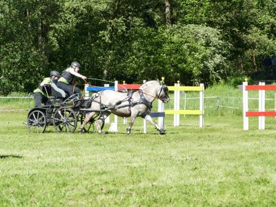 Foto des Albums: Fahrturnier Hilders 2019