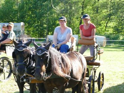 Foto des Albums: Fahrturnier Hilders 2019