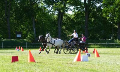 Foto des Albums: Fahrturnier Hilders 2019